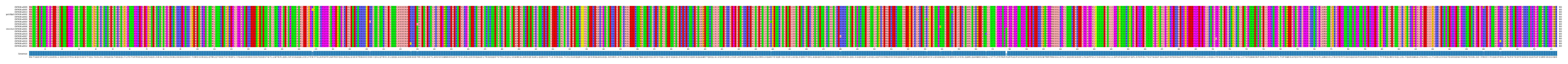 Multiple Alignments (by translate haplotype similarity)