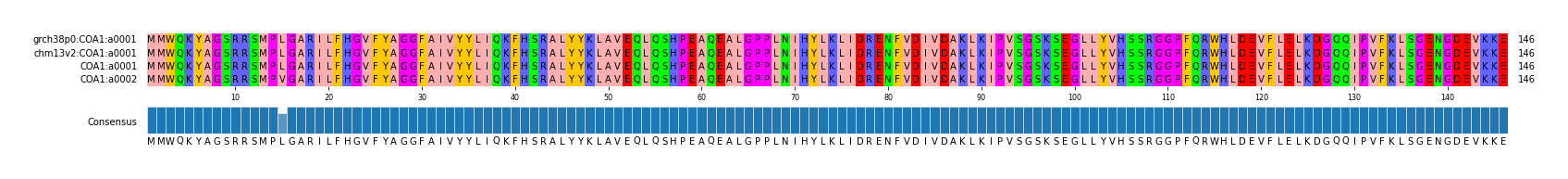 Multiple Alignments (by translate haplotype similarity)