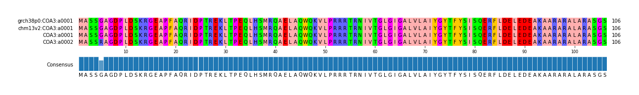 Multiple Alignments (by translate haplotype similarity)