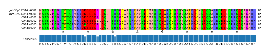 Multiple Alignments (by translate haplotype frequency)