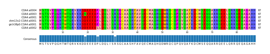 Multiple Alignments (by translate haplotype similarity)