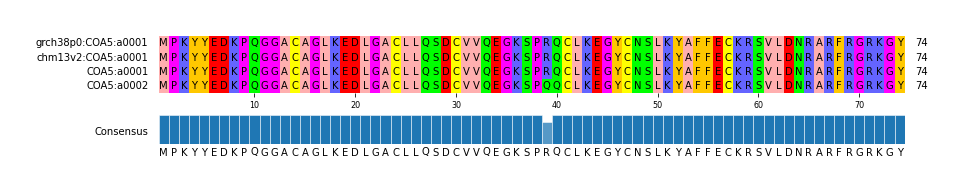 Multiple Alignments (by translate haplotype similarity)
