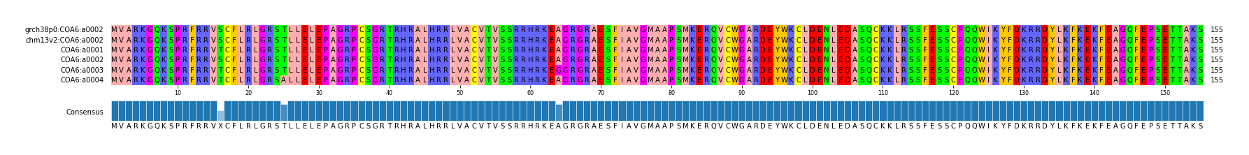 Multiple Alignments (by translate haplotype frequency)