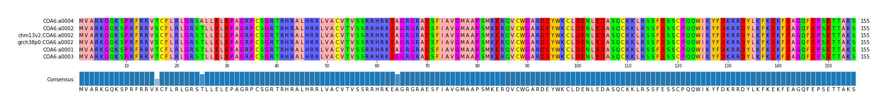Multiple Alignments (by translate haplotype similarity)