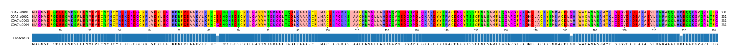 Multiple Alignments (by translate haplotype frequency)