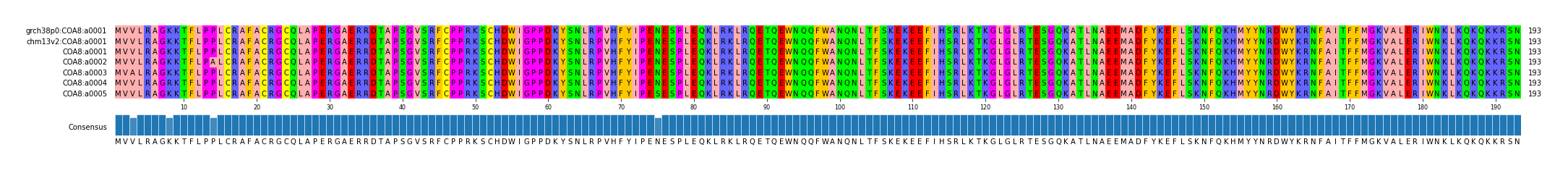 Multiple Alignments (by translate haplotype frequency)