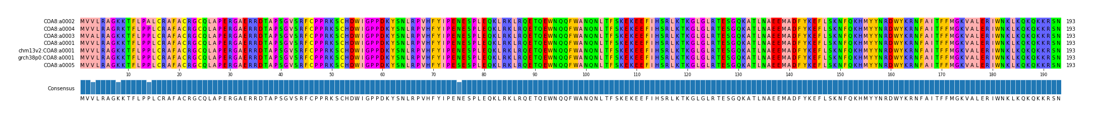 Multiple Alignments (by translate haplotype similarity)