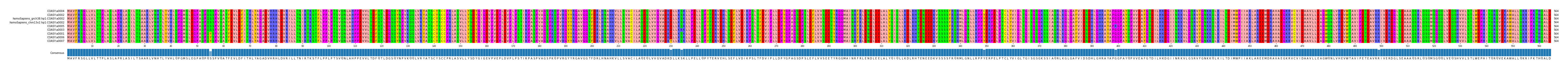Multiple Alignments (by translate haplotype similarity)