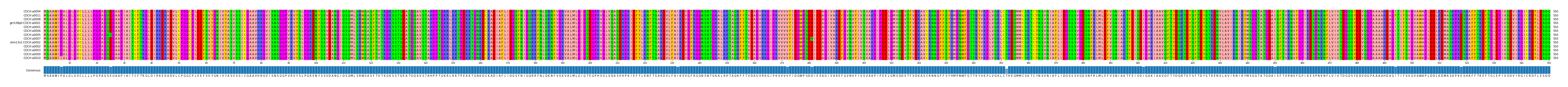 Multiple Alignments (by translate haplotype similarity)