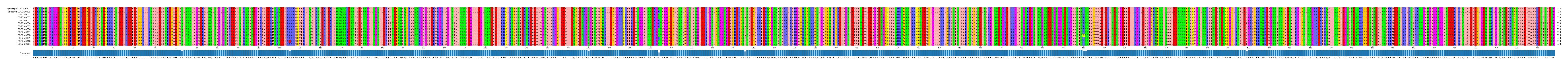 Multiple Alignments (by translate haplotype frequency)