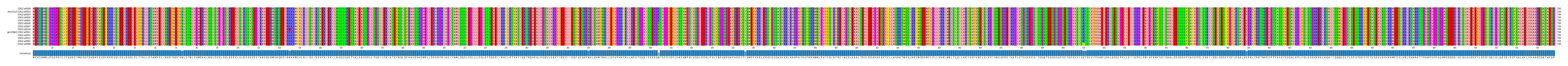 Multiple Alignments (by translate haplotype similarity)