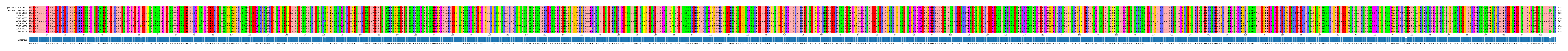 Multiple Alignments (by translate haplotype frequency)