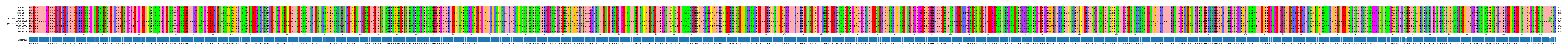 Multiple Alignments (by translate haplotype similarity)