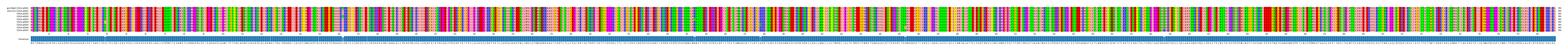 Multiple Alignments (by translate haplotype frequency)