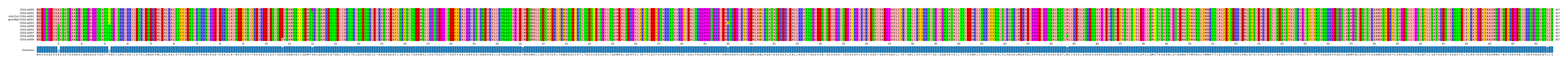 Multiple Alignments (by translate haplotype similarity)