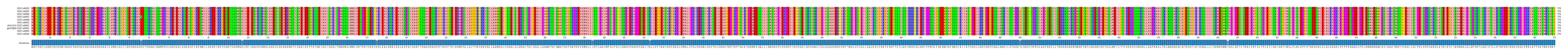 Multiple Alignments (by translate haplotype similarity)