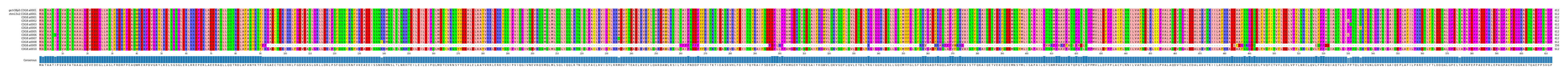 Multiple Alignments (by translate haplotype frequency)