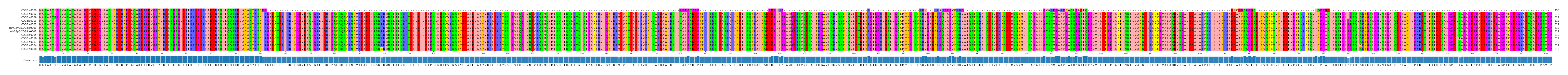 Multiple Alignments (by translate haplotype similarity)