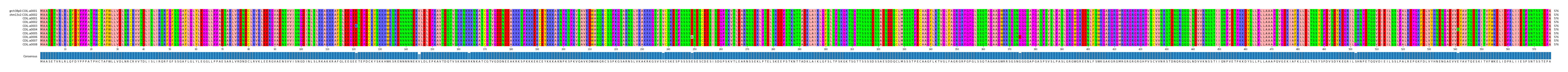 Multiple Alignments (by translate haplotype frequency)
