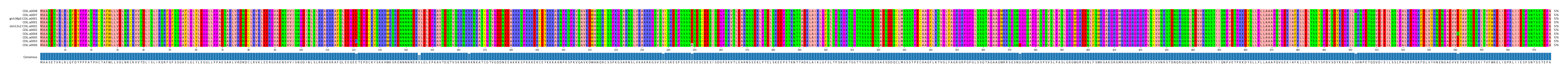 Multiple Alignments (by translate haplotype similarity)