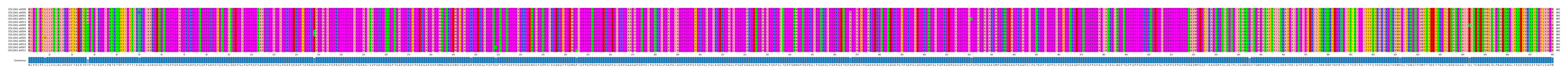 Multiple Alignments (by translate haplotype similarity)