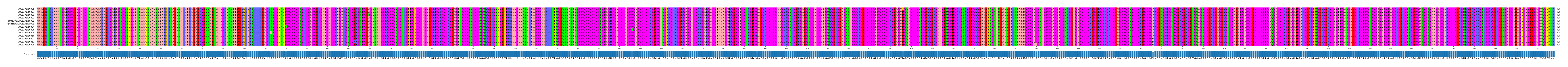 Multiple Alignments (by translate haplotype similarity)