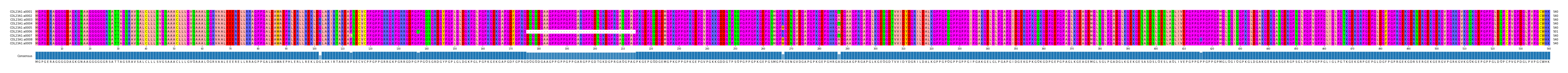 Multiple Alignments (by translate haplotype frequency)