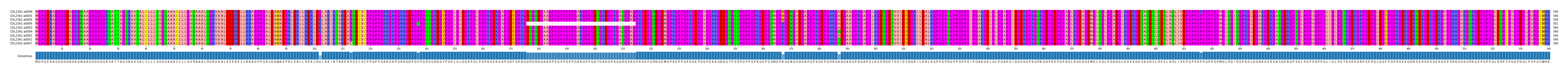 Multiple Alignments (by translate haplotype similarity)