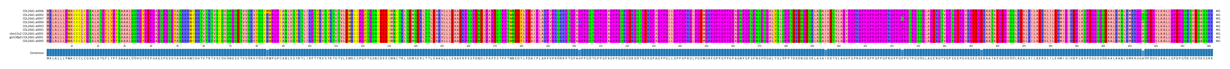 Multiple Alignments (by translate haplotype similarity)