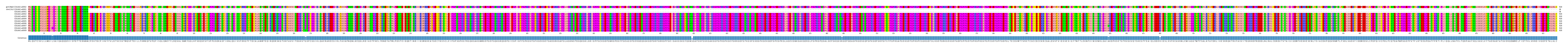 Multiple Alignments (by translate haplotype frequency)