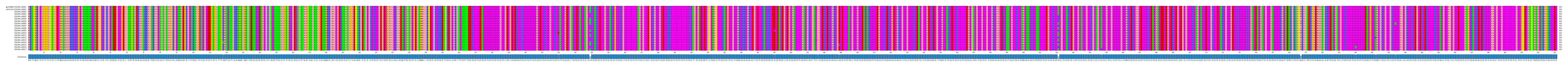 Multiple Alignments (by translate haplotype frequency)