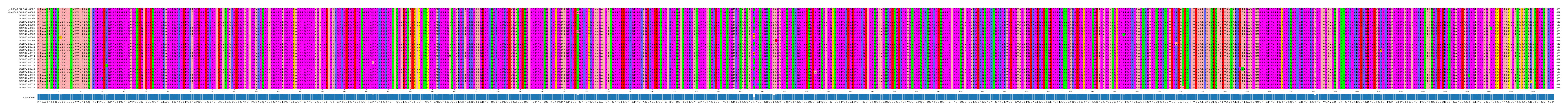 Multiple Alignments (by translate haplotype frequency)