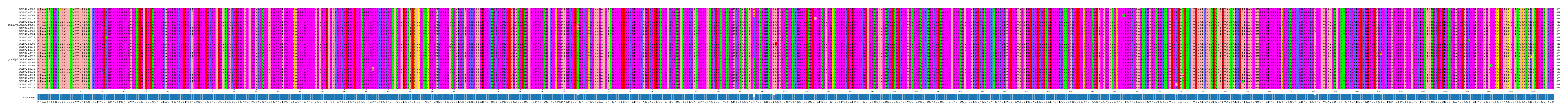 Multiple Alignments (by translate haplotype similarity)