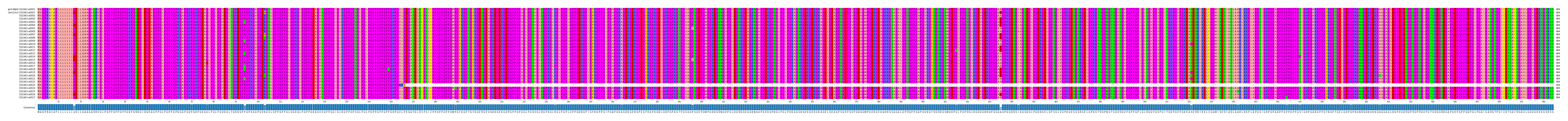 Multiple Alignments (by translate haplotype frequency)