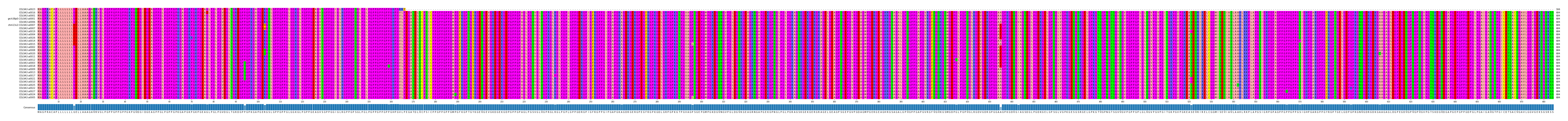 Multiple Alignments (by translate haplotype similarity)