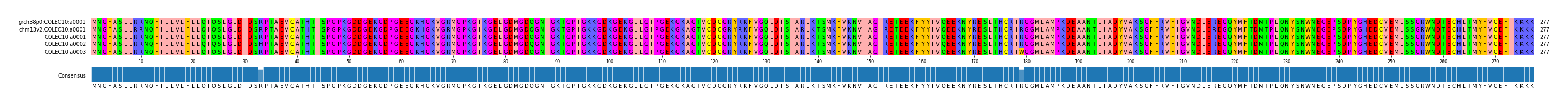 Multiple Alignments (by translate haplotype frequency)