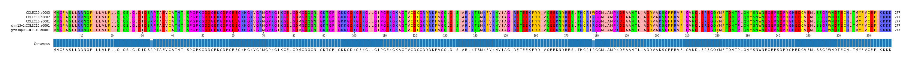 Multiple Alignments (by translate haplotype similarity)