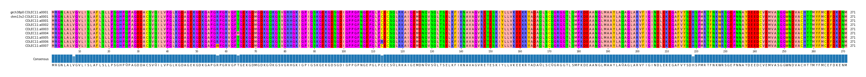 Multiple Alignments (by translate haplotype frequency)