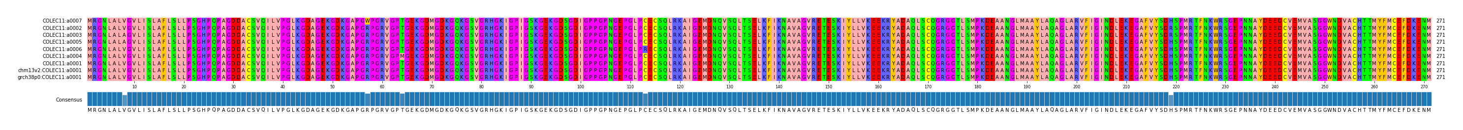 Multiple Alignments (by translate haplotype similarity)