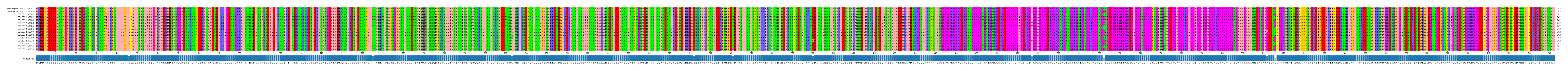 Multiple Alignments (by translate haplotype frequency)