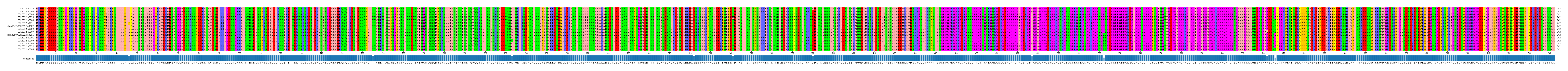 Multiple Alignments (by translate haplotype similarity)