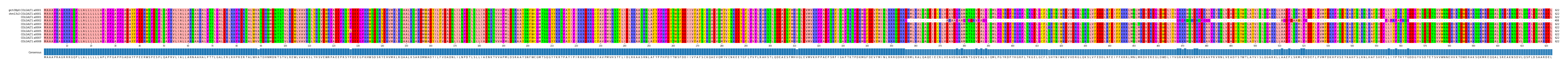Multiple Alignments (by translate haplotype frequency)