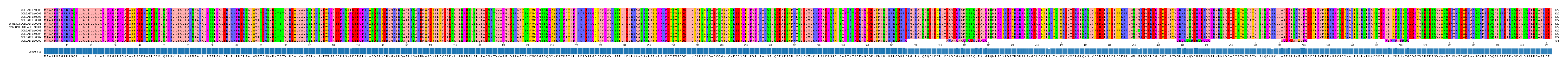 Multiple Alignments (by translate haplotype similarity)