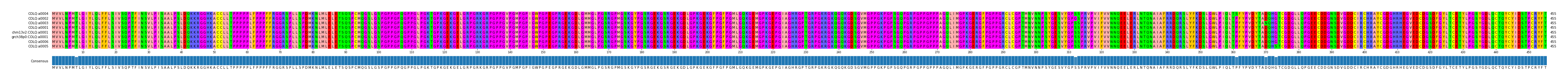 Multiple Alignments (by translate haplotype similarity)