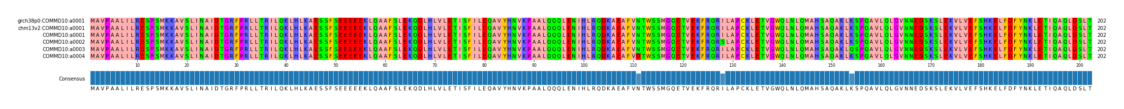 Multiple Alignments (by translate haplotype frequency)