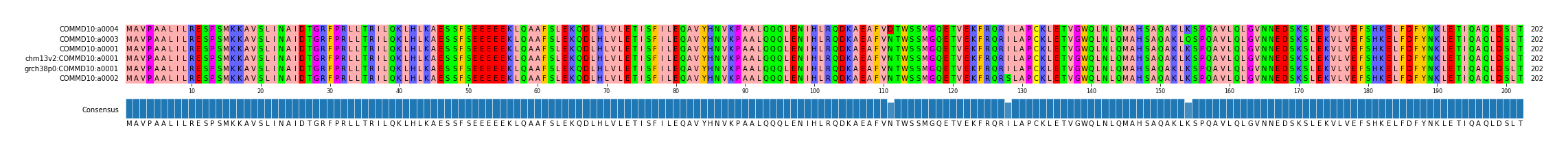 Multiple Alignments (by translate haplotype similarity)