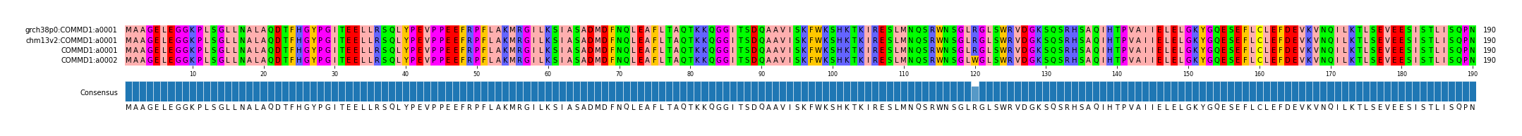 Multiple Alignments (by translate haplotype similarity)