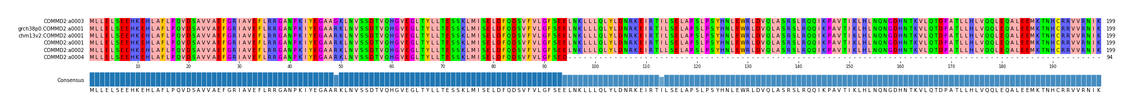Multiple Alignments (by translate haplotype similarity)