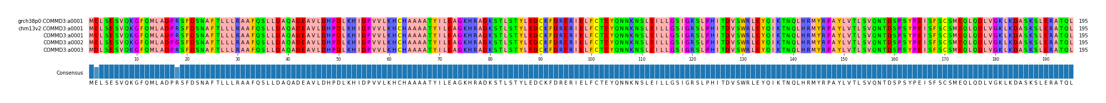 Multiple Alignments (by translate haplotype frequency)