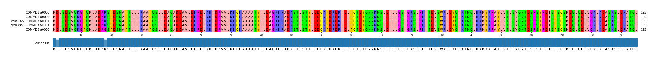 Multiple Alignments (by translate haplotype similarity)